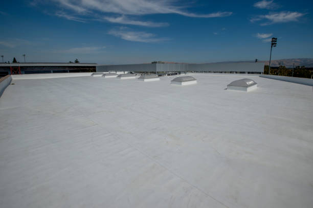 Best Asphalt Shingle Roofing  in Newstle, CA