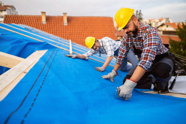 Best Roof Insulation Installation  in Newstle, CA
